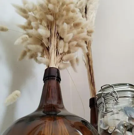 L'echo Des Vagues Maison Pour 2 A 500m De La *