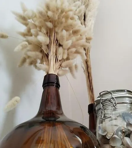 L'echo Des Vagues Maison Pour 2 A 500m De La *